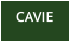 CAVIE